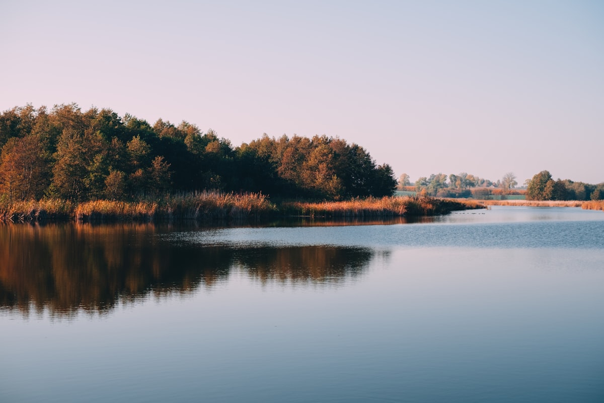Spokojne jezioro otoczone zielonymi drzewami — zdjęcie ilustracyjne