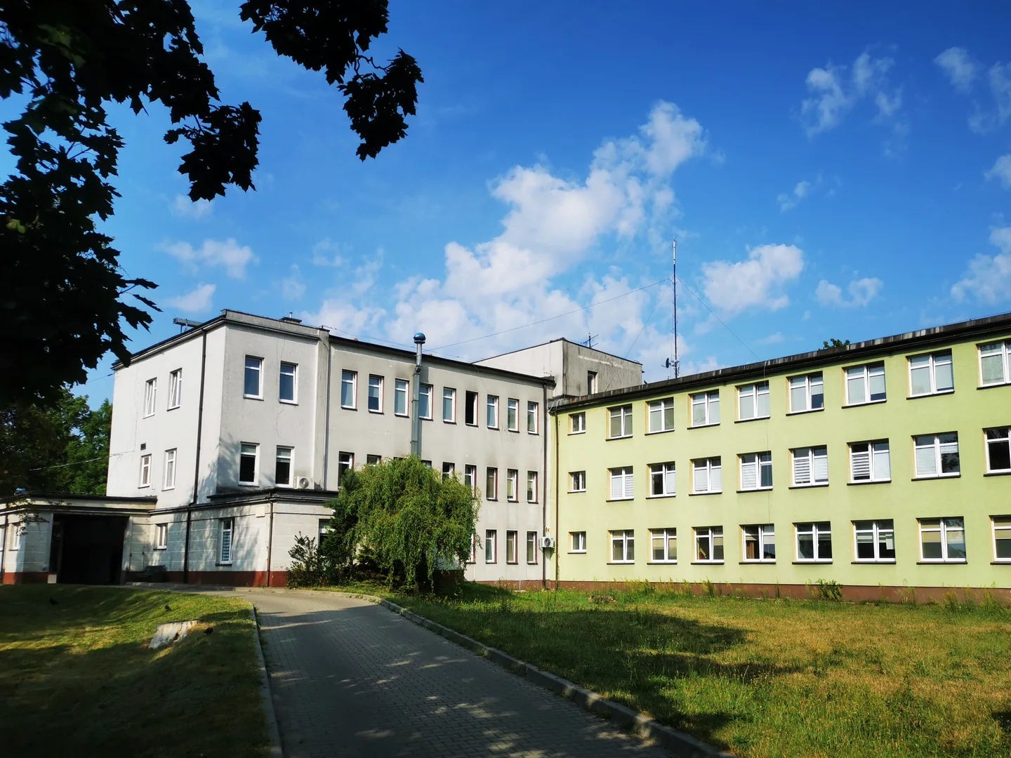 Budynek Zduńskowolskiego Szpitala Powiatowego przy ulicy Królewskiej, z zielonym terenem i alejką przed wejściem.