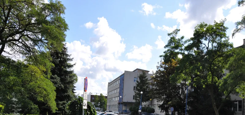Górna część budynku Przychodni Provita we Wrocławiu w otoczeniu drzew.